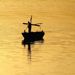 Ribar